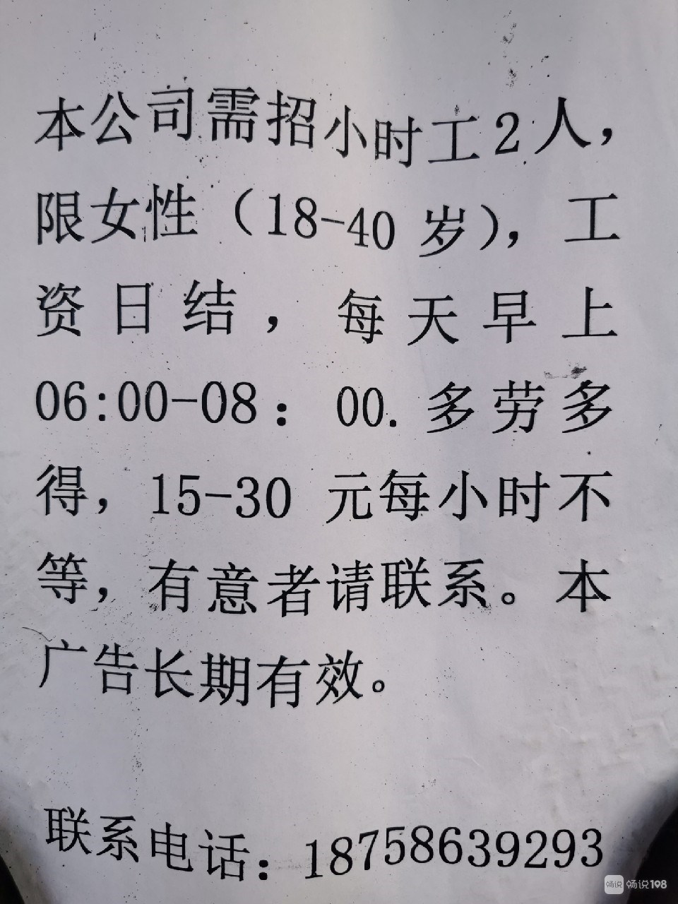 桃村招工最新招聘信息概述及详细解读