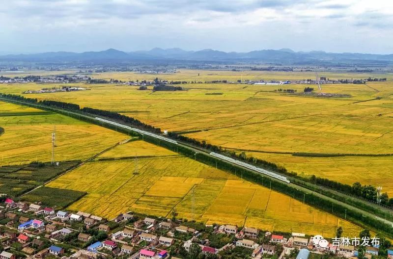 河北沃野最新消息，发展动态与前景展望