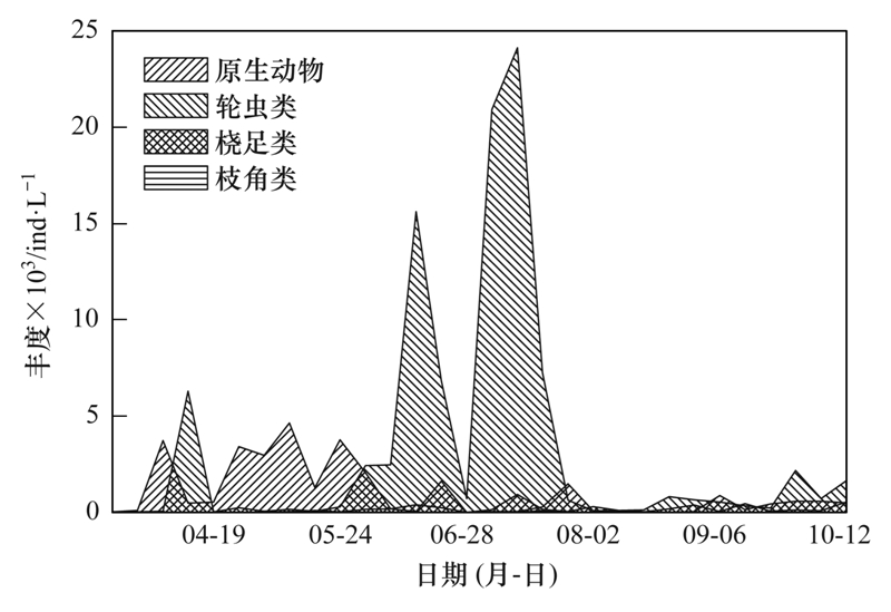 淮南华聘网最新招聘动态及其影响