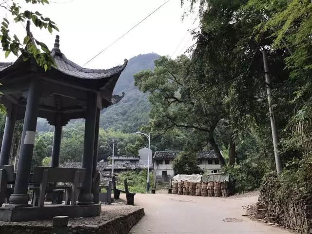 阴阳秘录庙岭沟最新探秘