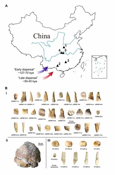 关于secao9最新地址的探索与发现