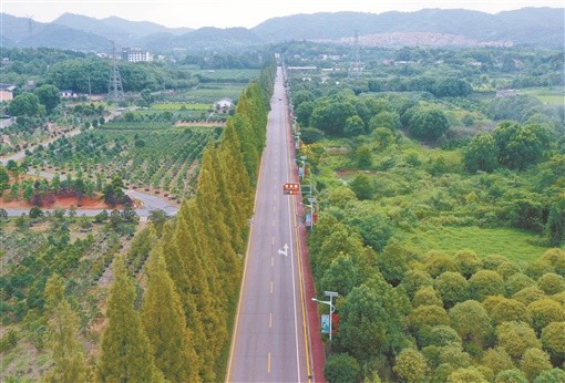 雨花区跳马镇最新消息概览