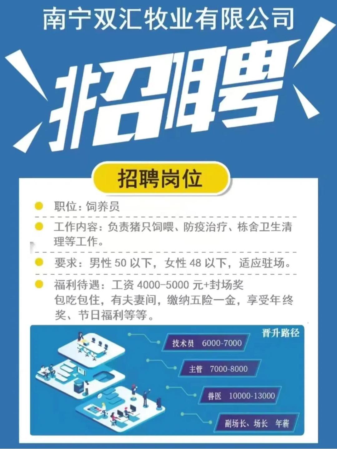 郑州双汇招聘最新消息，探寻发展机遇与职业成长的交汇点