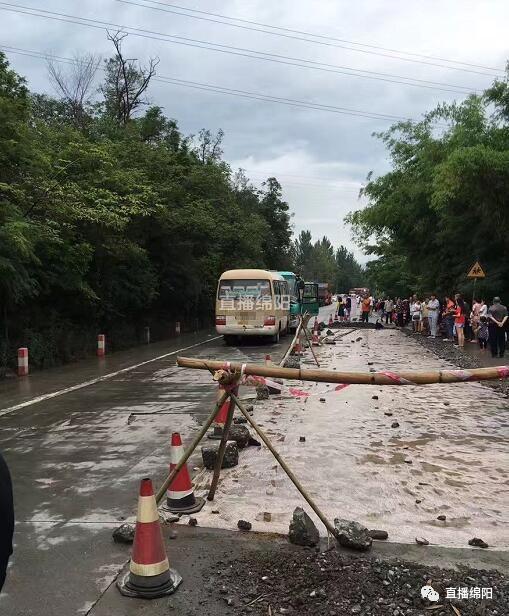 洪雅论坛最新消息，车祸事件深度报道