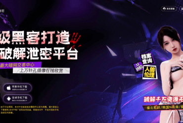 钱盒pos机！武则天三级