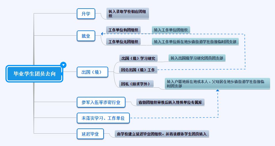 最新跨省转组织关系，流程、挑战与前景展望